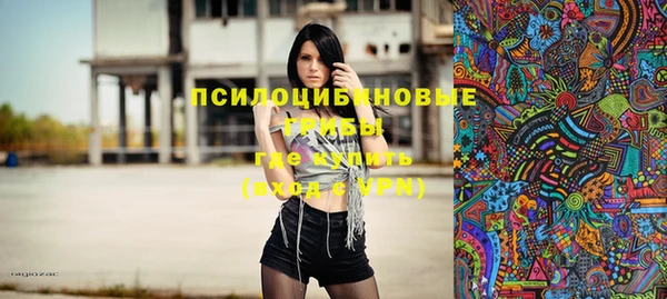 шишки Баксан