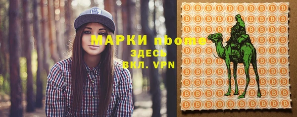 шишки Баксан