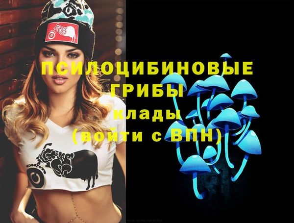 шишки Баксан