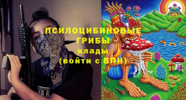 шишки Баксан