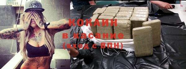 шишки Баксан