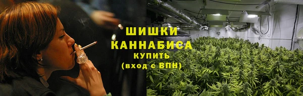 шишки Баксан