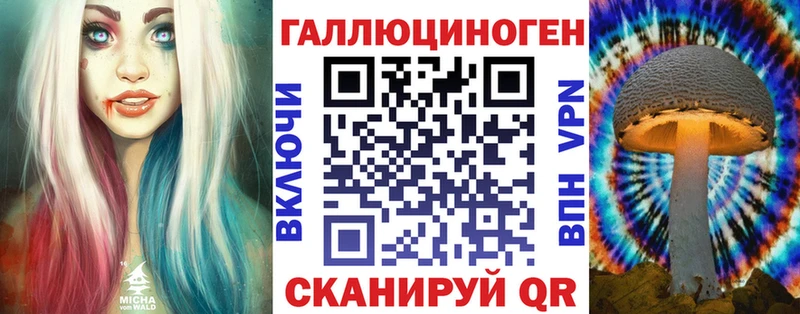 Купить где  Менделеевск  Галлюциногенные грибы MAGIC MUSHROOMS 