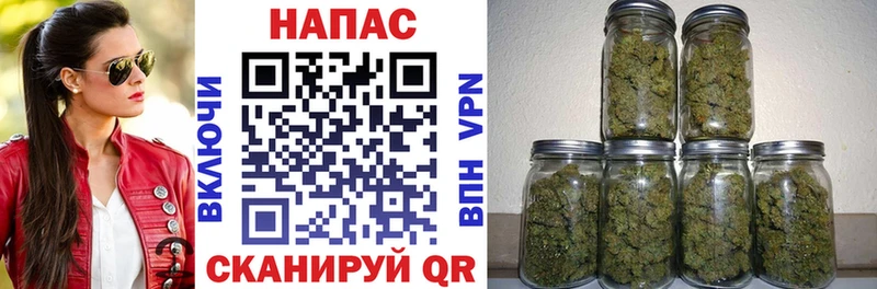Бошки Шишки гибрид  Купить где  Менделеевск 
